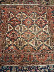 Bakhtyar Rug 385