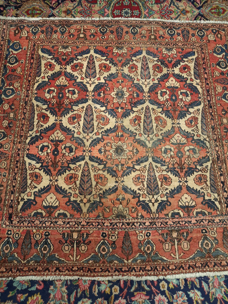 Bakhtyar Rug 385