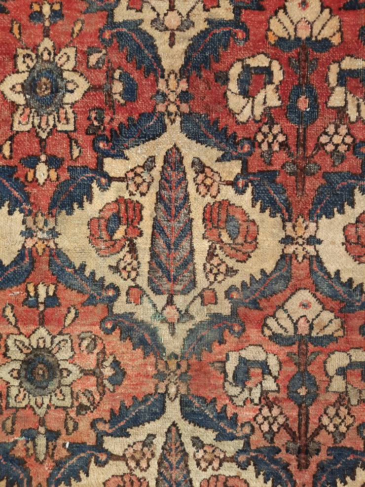 Bakhtyar Rug 385