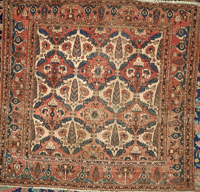 Bakhtyar Rug 385